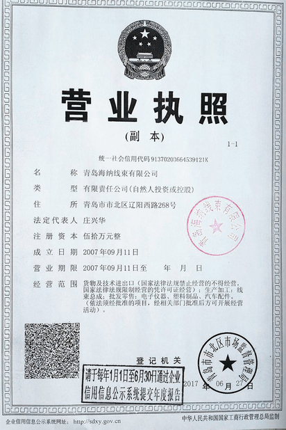 Κίνα Qingdao Hainr Wiring Harness Co., Ltd. Πιστοποιήσεις